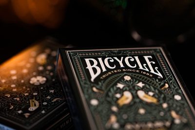 Bicycle Aviary Playing Cards