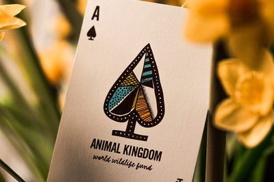 Animal Kingdom