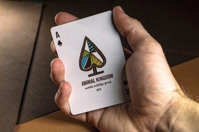 Animal Kingdom