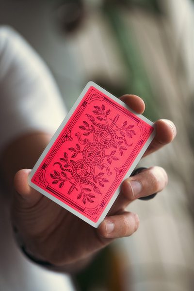 Monarch Summer Edition